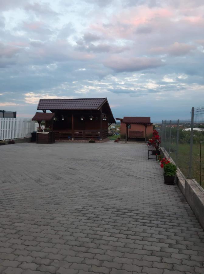 Отель Casa Alba Sandulesti Экстерьер фото